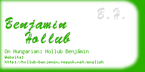 benjamin hollub business card
